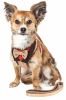 Pet Life Luxe 'Dapperbone' 2-In-1 Mesh Reversed Adjustable Dog Harness-Leash W/ Fashion Bowtie