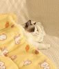 Pet Blanket Dog Cat Bed Winter Warm Mat Four Seasons Universal Blanket