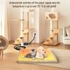 Waterproof Heated Cat Bed with Chew Resistant Cord